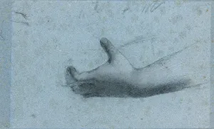Hand Study