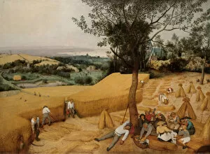 Netherlands Collection: The Harvesters, 1565. Creator: Pieter Bruegel the Elder