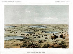 Bison Collection: Herd of Bison Near Lake Jessie, North Dakota, USA, 1856. Artist: John Mix Stanley