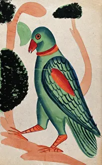 Hoopoe Print