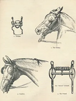 Horse Riding Equipment Prints: Horse bits, good and bad, c1909 (c1910)
