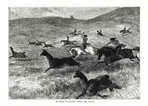 Hunting Guanacos with the Bolas, South America, 1877 Hunting Guanacos with the Bolas, South America, 1877