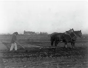 Framed Print : Improved Method of Plowing Print (1899?) Framed Print : Improved Method of Plowing Print (1899?)