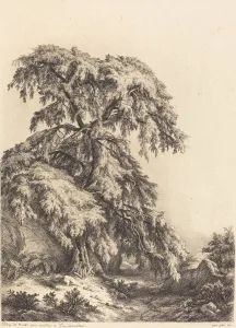 Heritage Botanical Art Prints: Juniper Tree, 1840. Creator: Eugene Blery