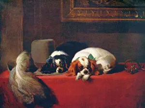 King Charles Spaniels (?The Cavalier?s Pets?), 1845, (c1915). Artist: Edwin Henry Landseer King Charles Spaniels (?The Cavalier?s Pets?), 1845, (c1915). Artist: Edwin Henry Landseer