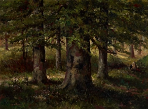 Heritage Art Collection USA Prints: Landscape with Beech Trees, date unknown, c1900-1940. Creator: Edward Sitzman