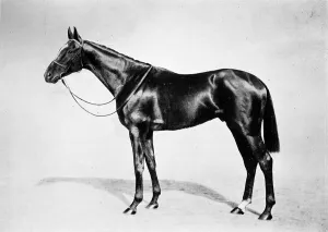 Epsom Derby History Prints: Lemberg, 1911