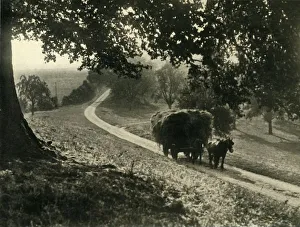 Black And White Rural Landscape Prints: The Last Load, 1936. Creator: Unknown