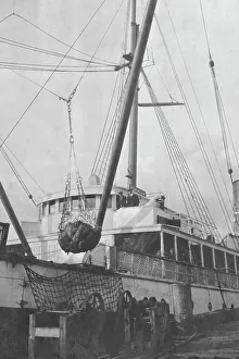 American Frontier History Prints: Loading copper on ship, between c1900 and 1916. Creator: Unknown