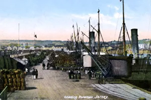Loading Potatoes Print, 1908