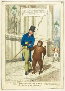 Hand Colored Etchings Prints: Something to Look At, 1817. Creator: Unknown