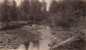 Adirondack Mountains Collection: Marion River at Bassetts Camp, c. 1885. Creator: Seneca Ray Stoddard