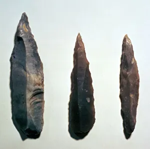 Stone Age Tools Prints: Mesolithic Microliths