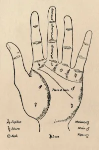 Heritage Images Print of Mounts and Phalanges, 1912