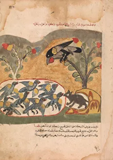 18th Century Print: The Mouse Gnaws the Net Imprisoning the Doves