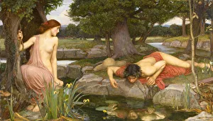 Narcissus and Echo Print, Walker Art Gallery Collection