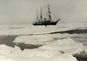Farthest South Latitude Record Prints: The Nimrod Pushing Her Way Through More Open Pack, c1908, (1909)
