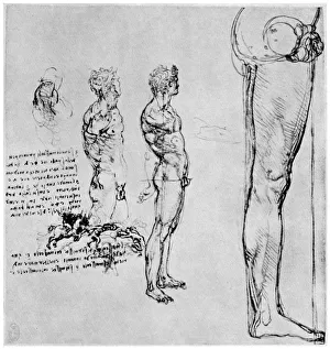 Nude studies for The Battle of Anghiari, c1503-1505 (1954). Artist: Leonardo da Vinci Nude studies for The Battle of Anghiari, c1503-1505 (1954). Artist: Leonardo da Vinci