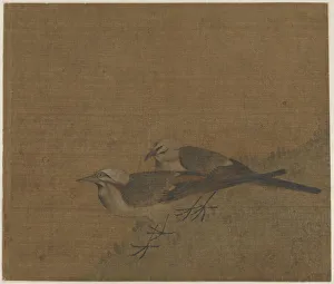 Two pied wagtails, Yuan dynasty, (14th century?). Creator: Unknown Two pied wagtails, Yuan dynasty, (14th century?). Creator: Unknown