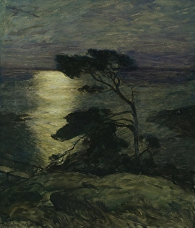 Coastal Landscape Art Prints: Pine Tree on the Coast in Moonlight, 1902. Creator: Thorolf Holmboe
