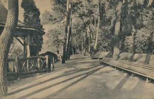 Dorset England Tourism Prints: The Pine Walk, 1929