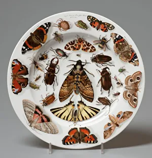 Decorative Print, 1840 Plate