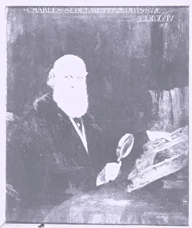 Portrait of Charles Sedelmeyer, Art Dealer Print, 1911