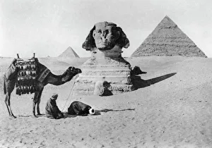 Praying before a sphinx, Cairo, Egypt, c1920s Praying before a sphinx, Cairo, Egypt, c1920s