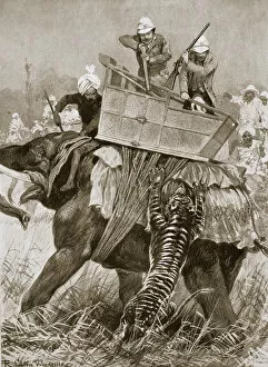 Prince Of Wales Collection: The Prince of Wales on a tiger hunt during his visit to India, 1876 (1901). Artist