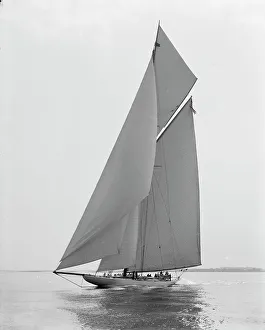 Reliance Print, c1903
