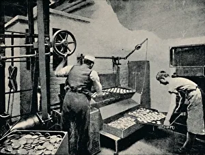 Removing Biscuits from Oven, c1917