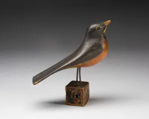 Robin Print, 1860/1900