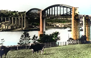 Royal Albert Bridge Prints: The Royal Albert Bridge, Saltash, Cornwall, 1926. Artist: Cavenders Ltd