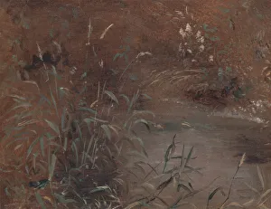 John Constable Oil Paintings Prints: Rushes by a pool, ca. 1821. Creator: John Constable
