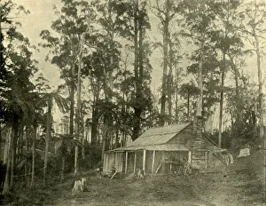 Federated Australia History Prints: A Rustic Dwelling, 1901. Creator: Unknown
