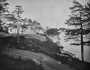 Savin Rock, New Haven, Connecticut Print c1897