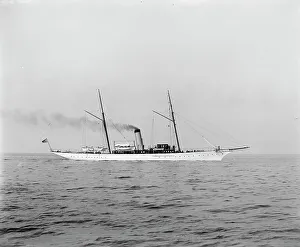 American Black And White Photography Prints: Scorpion, c1899. Creator: Unknown