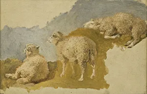 Three Sheep Print, Mid-19th Century Study