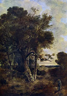 Colour print of a forest landscape with trees and hills in the distance