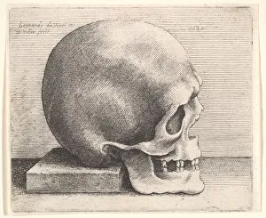 Wenceslaus Hollar, Skull in Profile to Right, 1645 Print