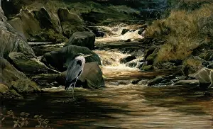 European Heritage Art Images Prints: Solitude, c1879. Creator: Bryan Hook