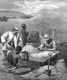 Colonialism In South Africa Prints: At the sorting table in the Diamond Diggings, 1872. Creator: Unknown