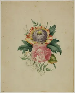 Historical Flower Depictions Prints: Spray of Flowers, n.d. Creator: Unknown