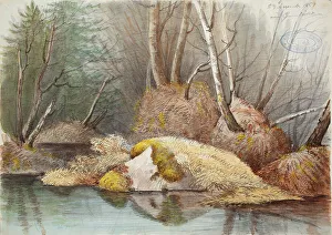 Spring Forest Interior Print, 1851 Watercolor on Paper