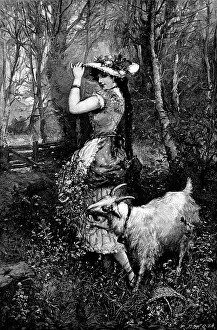 British Wildlife Art Prints: 'Springtime' - after M. Bernard, 1890. Creator: Unknown