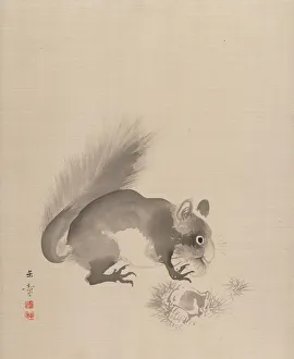 Squirrel Eating Chestnuts, 1887-92. Creator: Gyokusho Kawabata Squirrel Eating Chestnuts, 1887-92. Creator: Gyokusho Kawabata