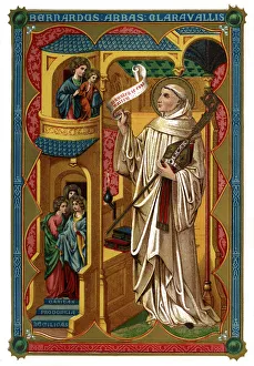 Images Dated 1st August 2007: St Bernard Print, 1886