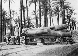 The Statue of Rameses II, Cairo, Egypt, c1920s The Statue of Rameses II, Cairo, Egypt, c1920s