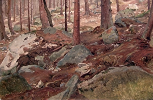 Romantic Era Oil Paintings Prints: Study of a Forest Floor, 1847. Creator: J. F. Eckersberg