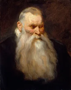 Prints of Study Head of an Old Man with a White Beard, ca. 1617-20 Anthony Van Dyck Prints: Anthony van Dyck Print: Study Head of an Old Man with a White Beard, 1617-20